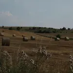 Grosse In Peetzig Am
