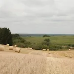 Grosse In Peetzig Am Angermunde