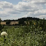 Grosse In Peetzig Am Angermunde