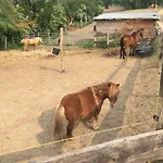 Grosse In Peetzig Am