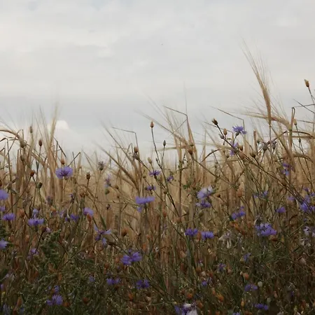 Grosse In Peetzig Am Apartment