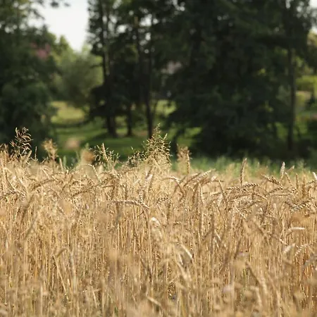 Apartment Grosse In Peetzig Am