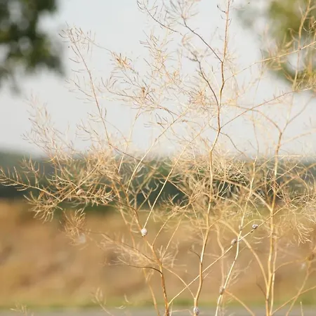 Apartment Grosse In Peetzig Am *