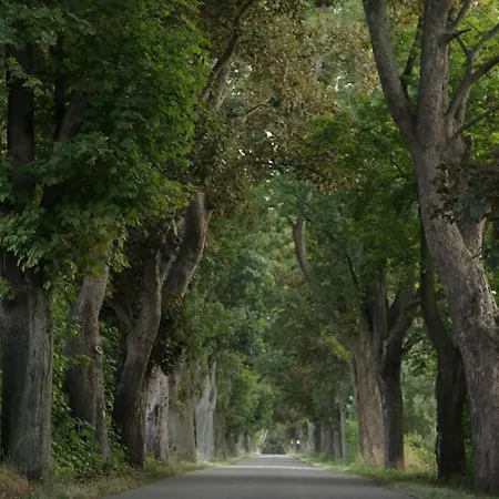 Grosse In Peetzig Am Apartment