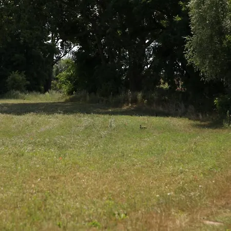 Daire Grosse In Peetzig Am *