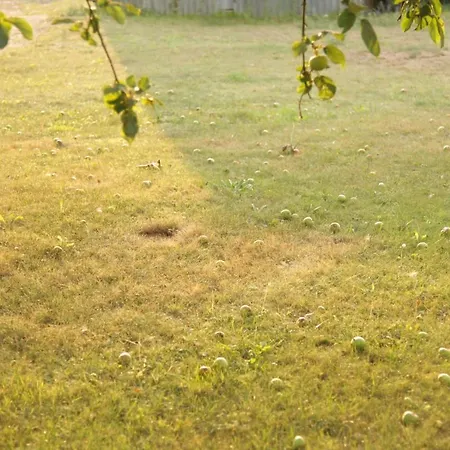 Große In Peetzig Am Apartment *