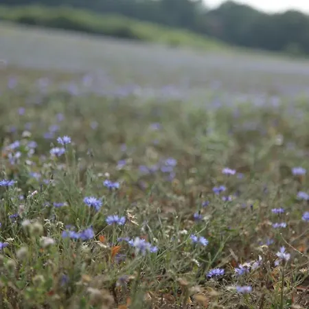 Große In Peetzig Am Apartment
