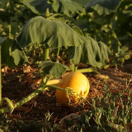 Große In Peetzig Am Apartment Angermunde