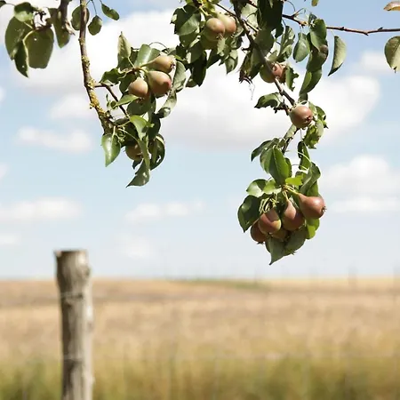 Grosse In Peetzig Am Apartment