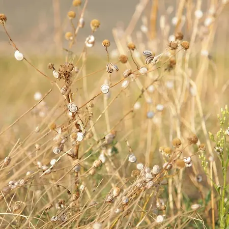 Apartment Grosse In Peetzig Am