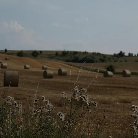 Grosse In Peetzig Am