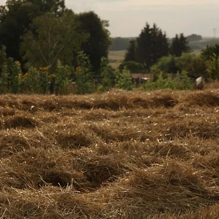 Apartment Große In Peetzig Am *