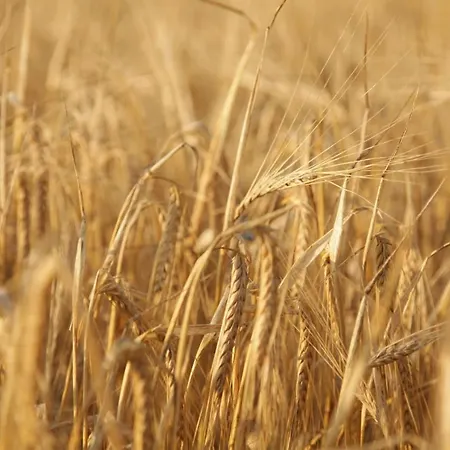 Große In Peetzig Am Apartment