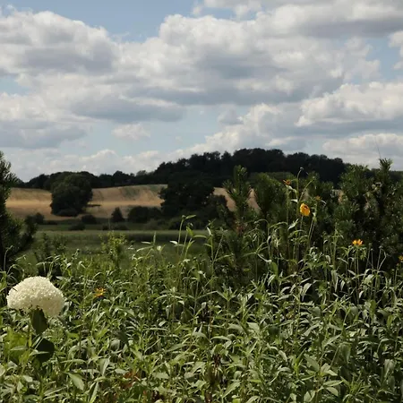 Grosse In Peetzig Am Angermunde