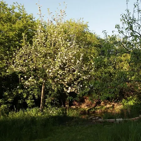 Große In Peetzig Am