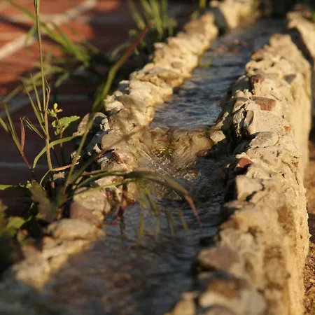 Große In Peetzig Am * Angermunde