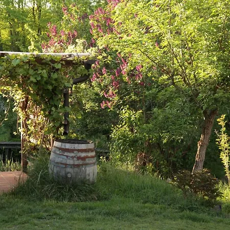 Apartment Große In Peetzig Am