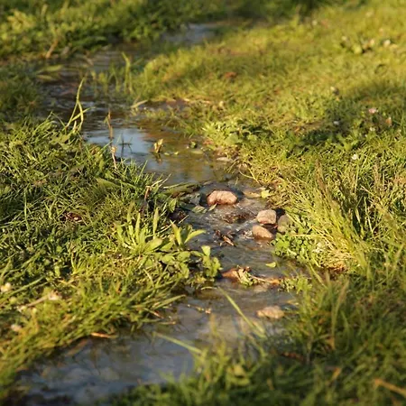 Große In Peetzig Am *
