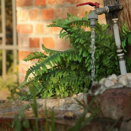 Große In Peetzig Am Apartment *