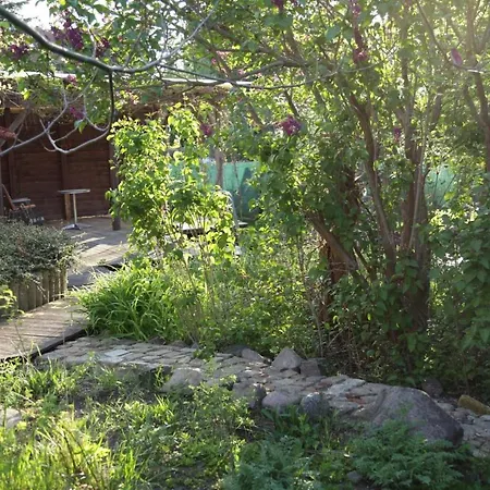 Apartment Große In Peetzig Am