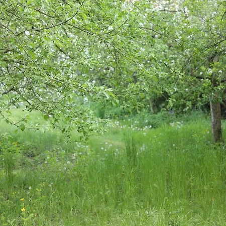 Grosse In Peetzig Am