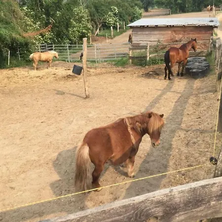 Grosse In Peetzig Am