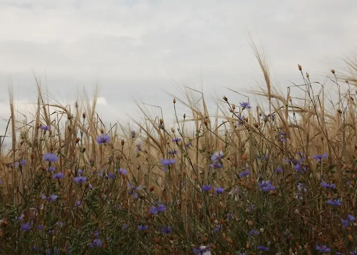 Grosse In Peetzig Am Apartamento
