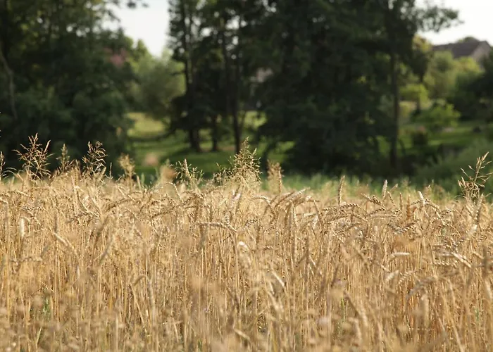 Apartamento Grosse In Peetzig Am