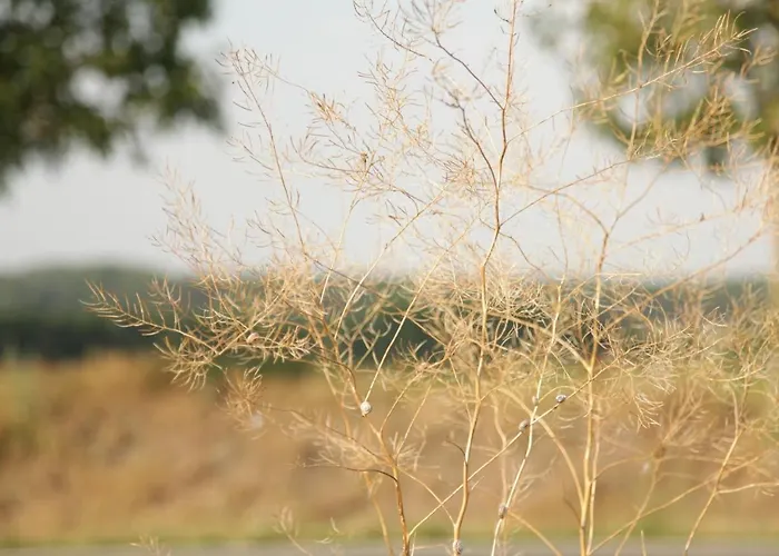 Apartamento Grosse In Peetzig Am *