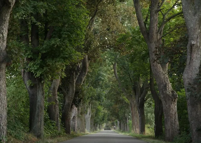 Grosse In Peetzig Am Apartamento