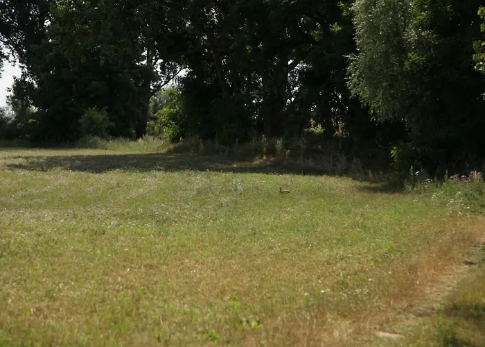 Apartamento Grosse In Peetzig Am *