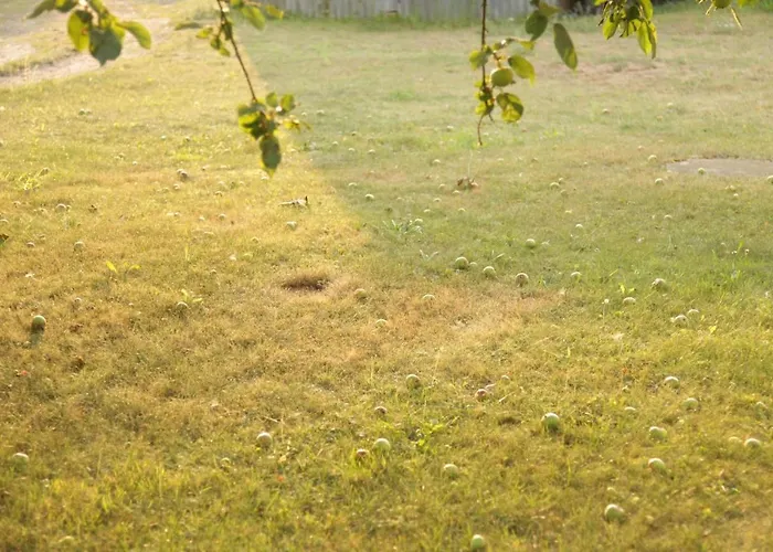 Grosse In Peetzig Am Apartamento *