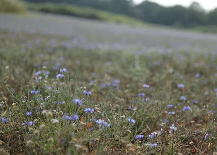 Grosse In Peetzig Am Apartamento
