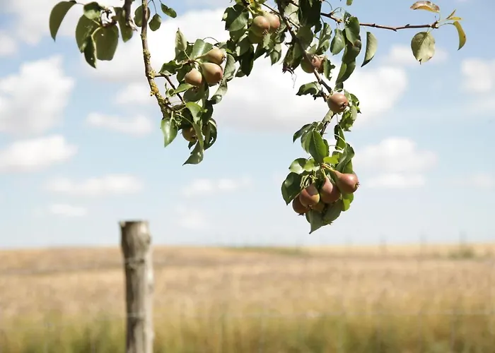 Grosse In Peetzig Am Apartamento