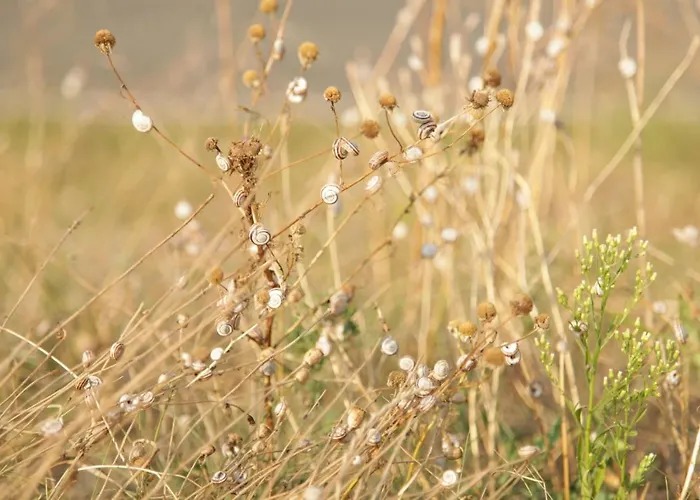 Apartamento Grosse In Peetzig Am