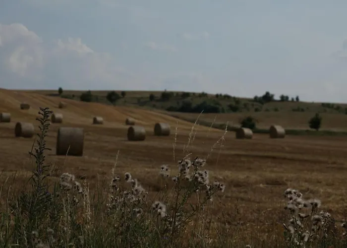 Grosse In Peetzig Am