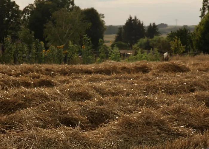 Apartamento Grosse In Peetzig Am *