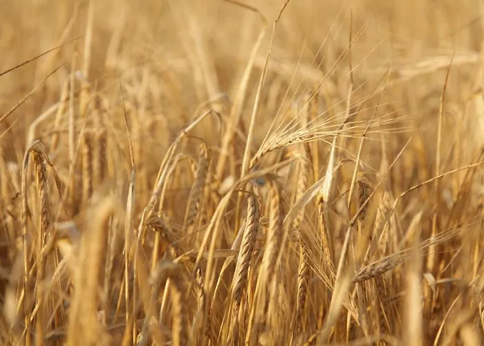 Grosse In Peetzig Am Apartamento
