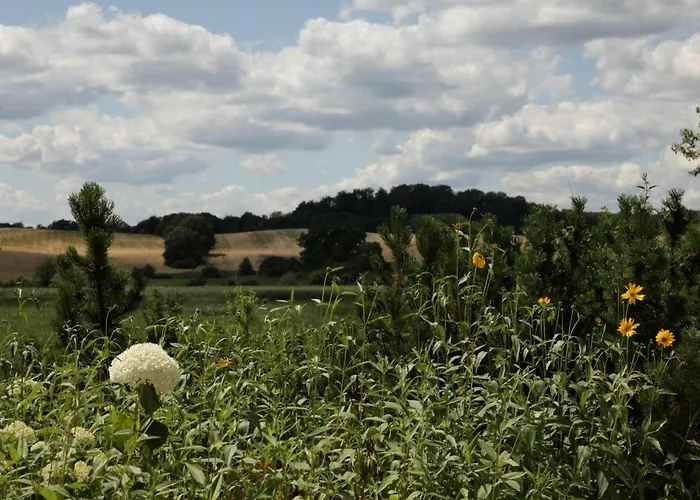 Grosse In Peetzig Am Angermunde