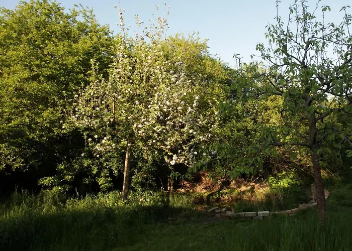 Grosse In Peetzig Am