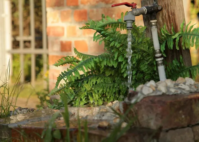 Grosse In Peetzig Am Apartamento *