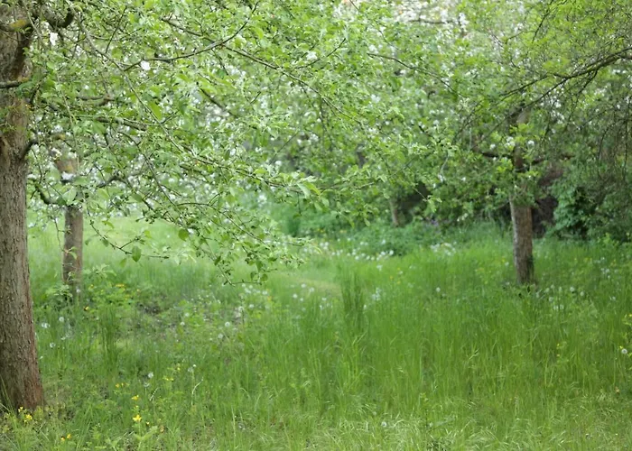 Grosse In Peetzig Am